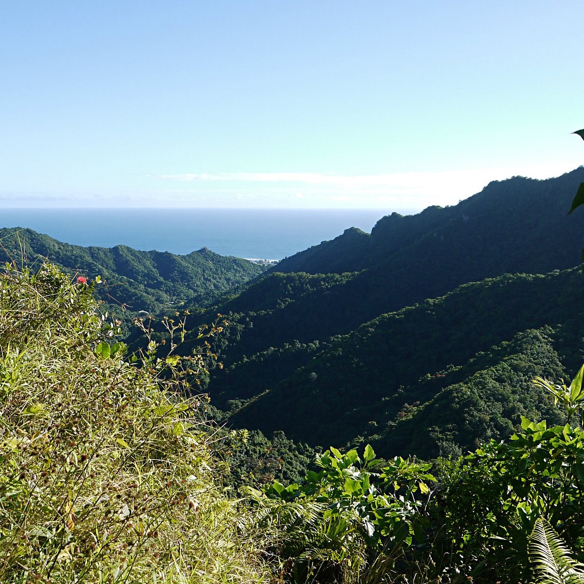 Cross-Island Trek to Te Rua Manga (The Needle): Jungle Summit