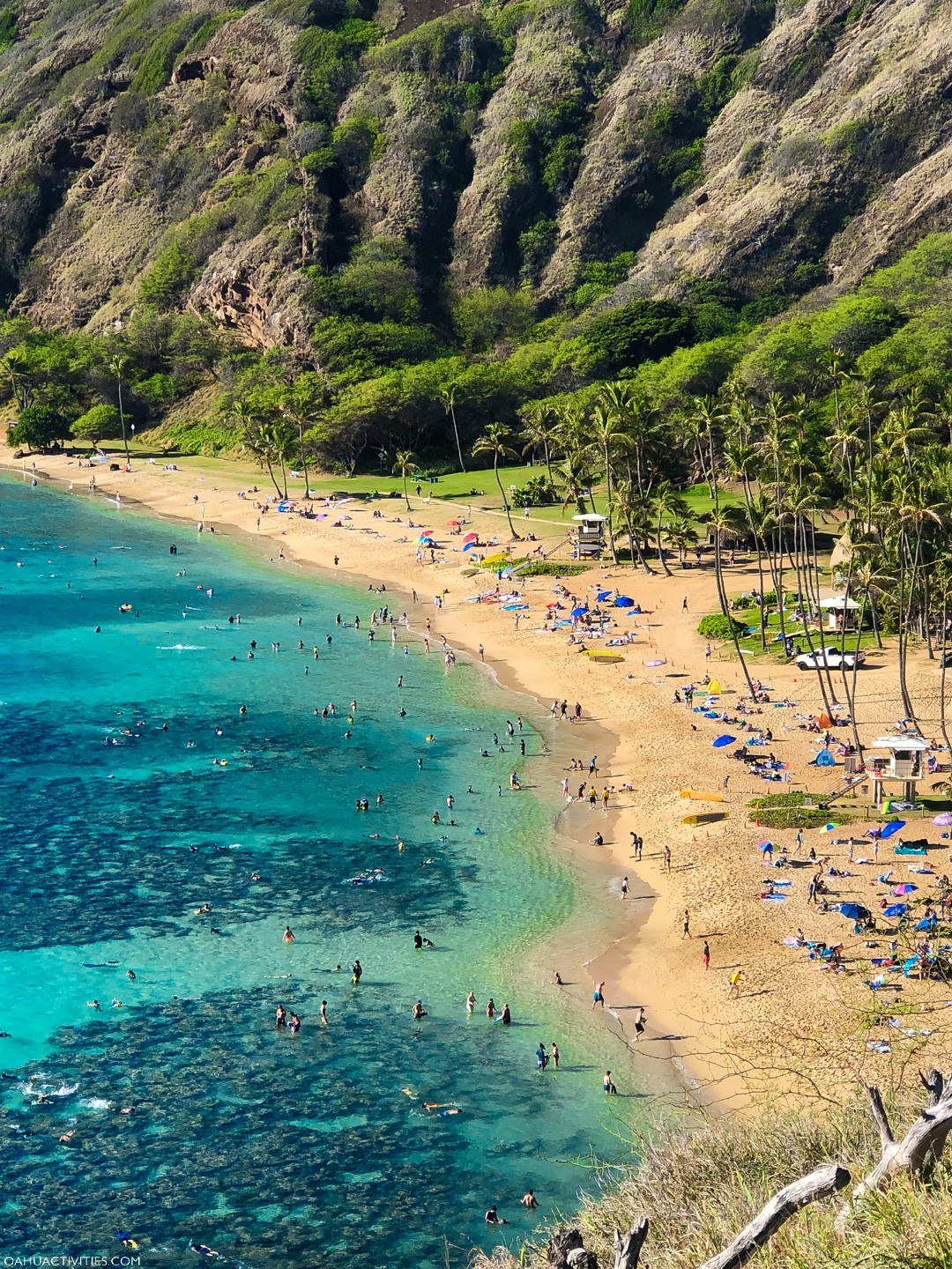 Hanauma Bay: Private Snorkel at Oahu's Crown-Jewel Marine Park