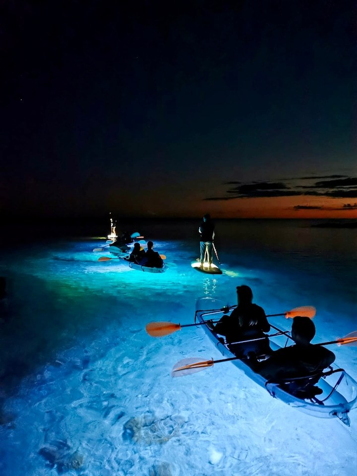 SUP Yoga & Transparent Kayak: Sunrise on the Adriatic