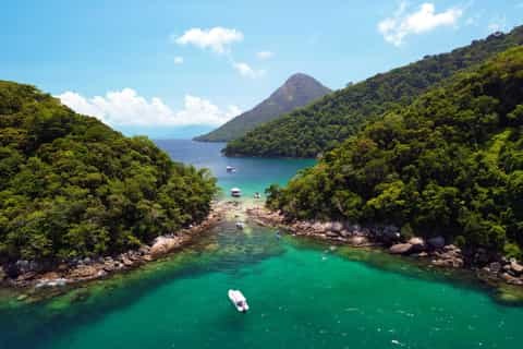 Ilha Grande Atlantic Rainforest & Wildlife: Private Expert Trek