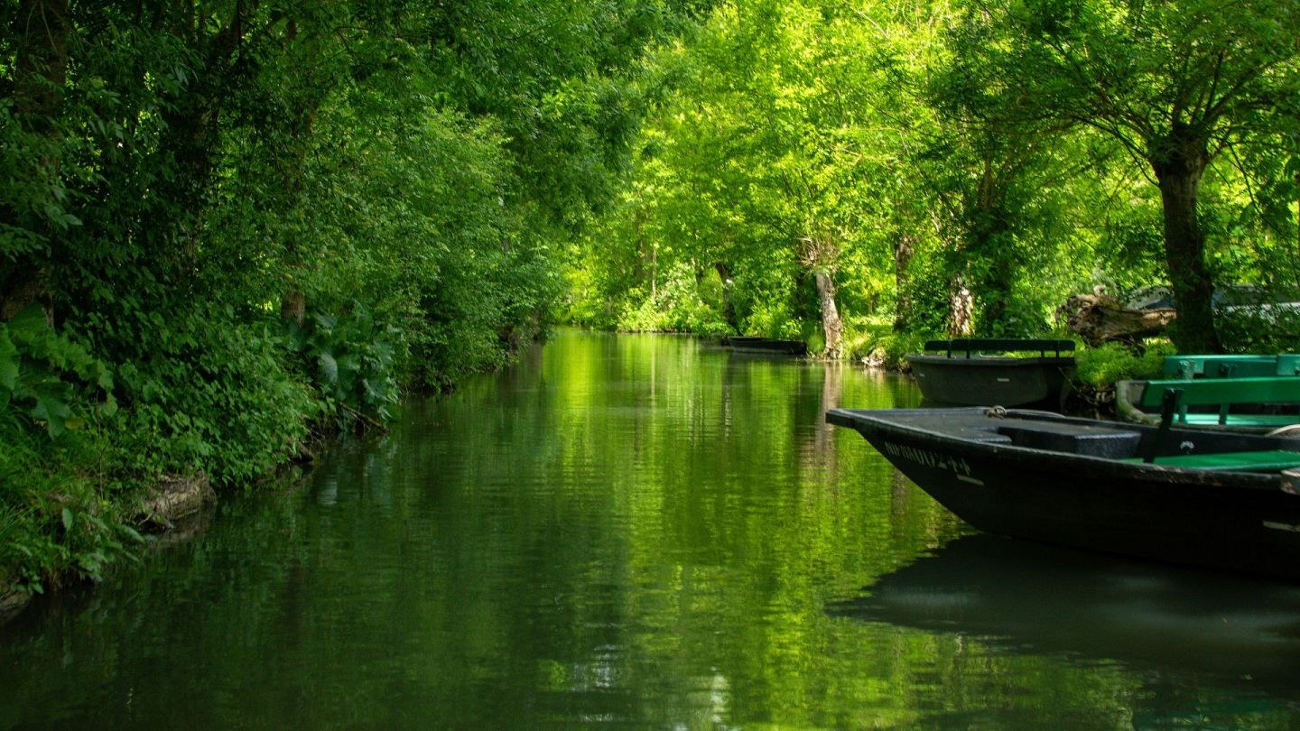 Marais Poitevin 'Green Venice': Private Punt through France's Secret Waterworld