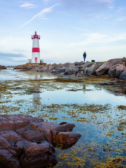 Saint-Pierre Guided Architecture & History Walking Tour