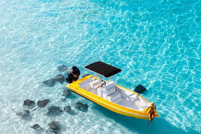 Private Boat Tour: Coastal Waters, Seabirds & Shipwreck Landscapes