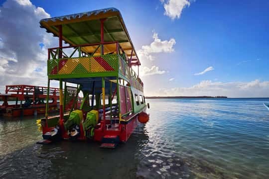 Little Tobago Seabird Sanctuary: Glass-Bottom Boat & Guided Walk