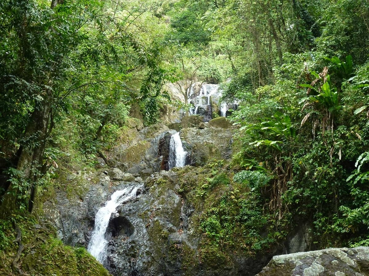 Argyle Waterfall: Tobago's Triple-Tiered Rainforest Cascade