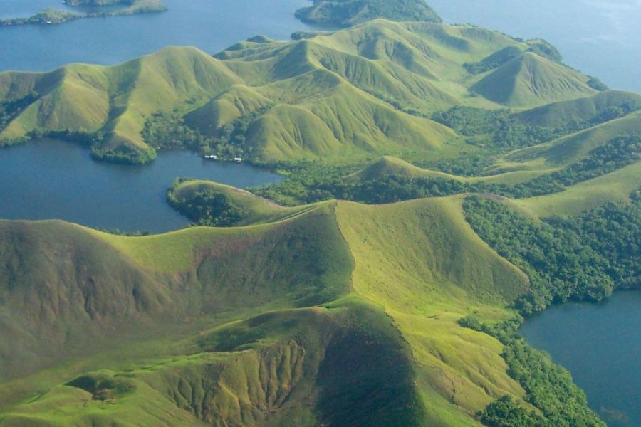 Lake Sentani & Asei Island: Bark Painting with Papuan Masters