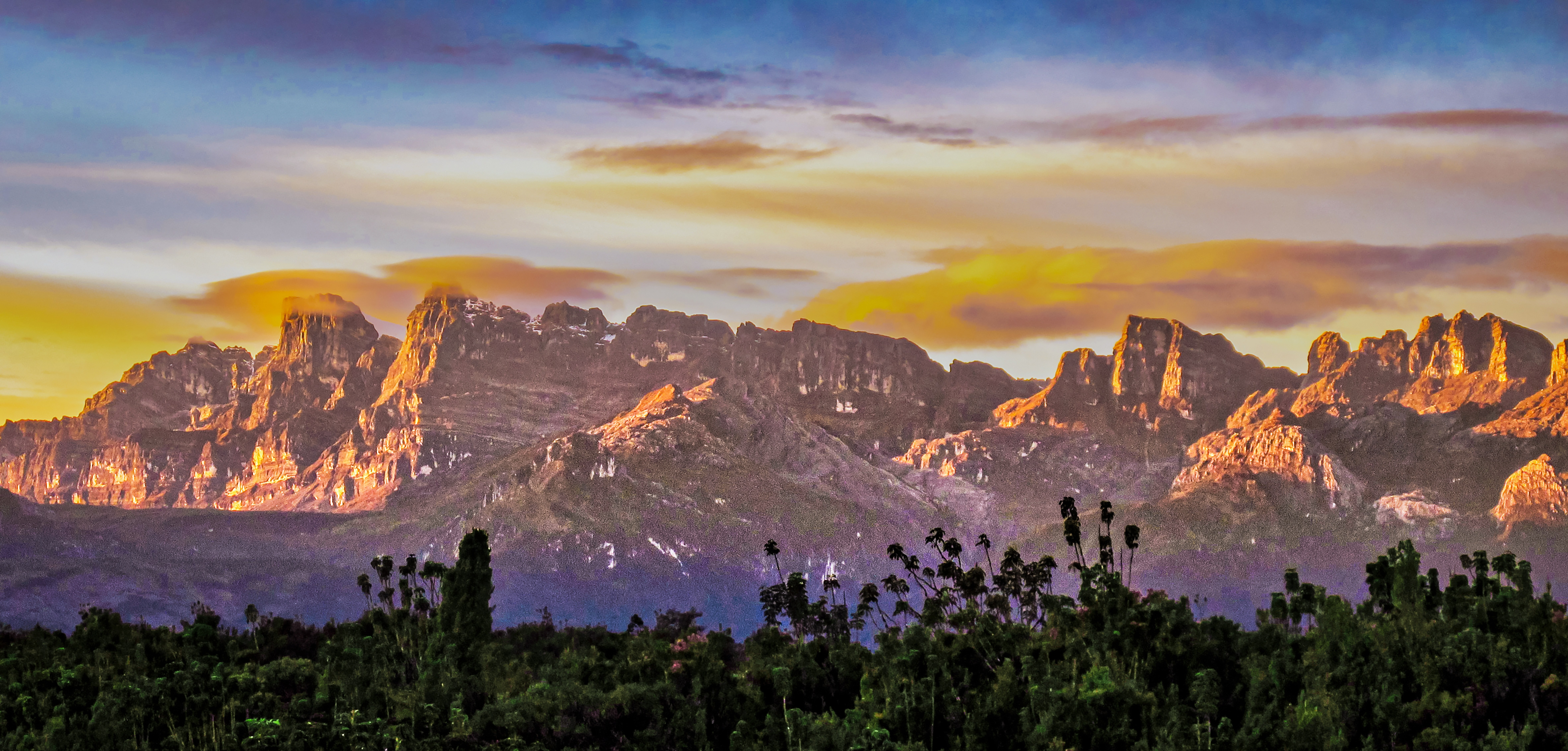 Lorentz National Park: Private Jungle Trek into a UNESCO Wilderness