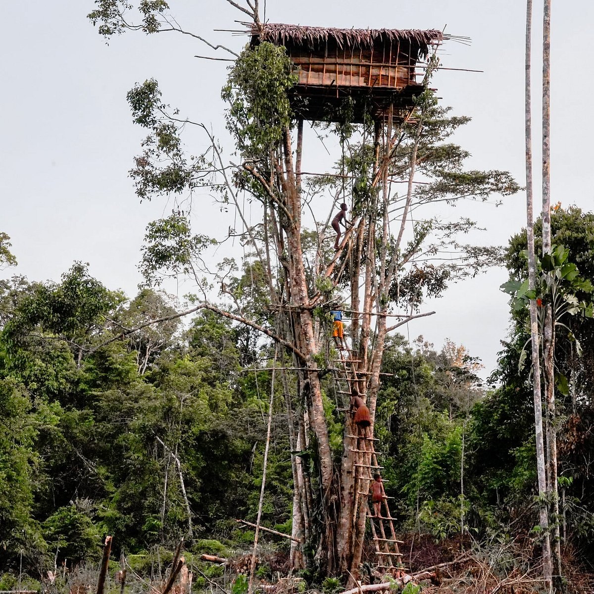 Papua State Museum: Private Curator-Led Cultural Deep Dive