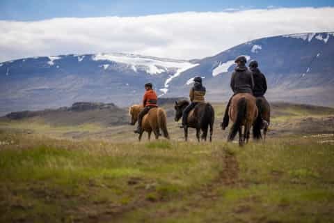 Icelandic Horse Riding on the Skagafjörður Valley Lava Fields