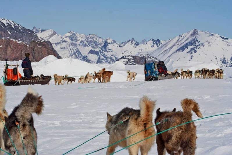 Traditional Dogsled Culture & Sled Dog Kennel Experience