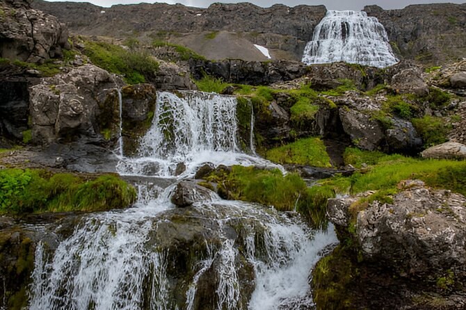 Isafjordur & Westfjords Private Full-Day Tour