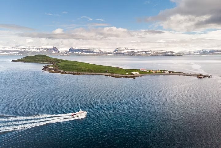 Vigur Island Puffin & Arctic Wildlife Boat Safari