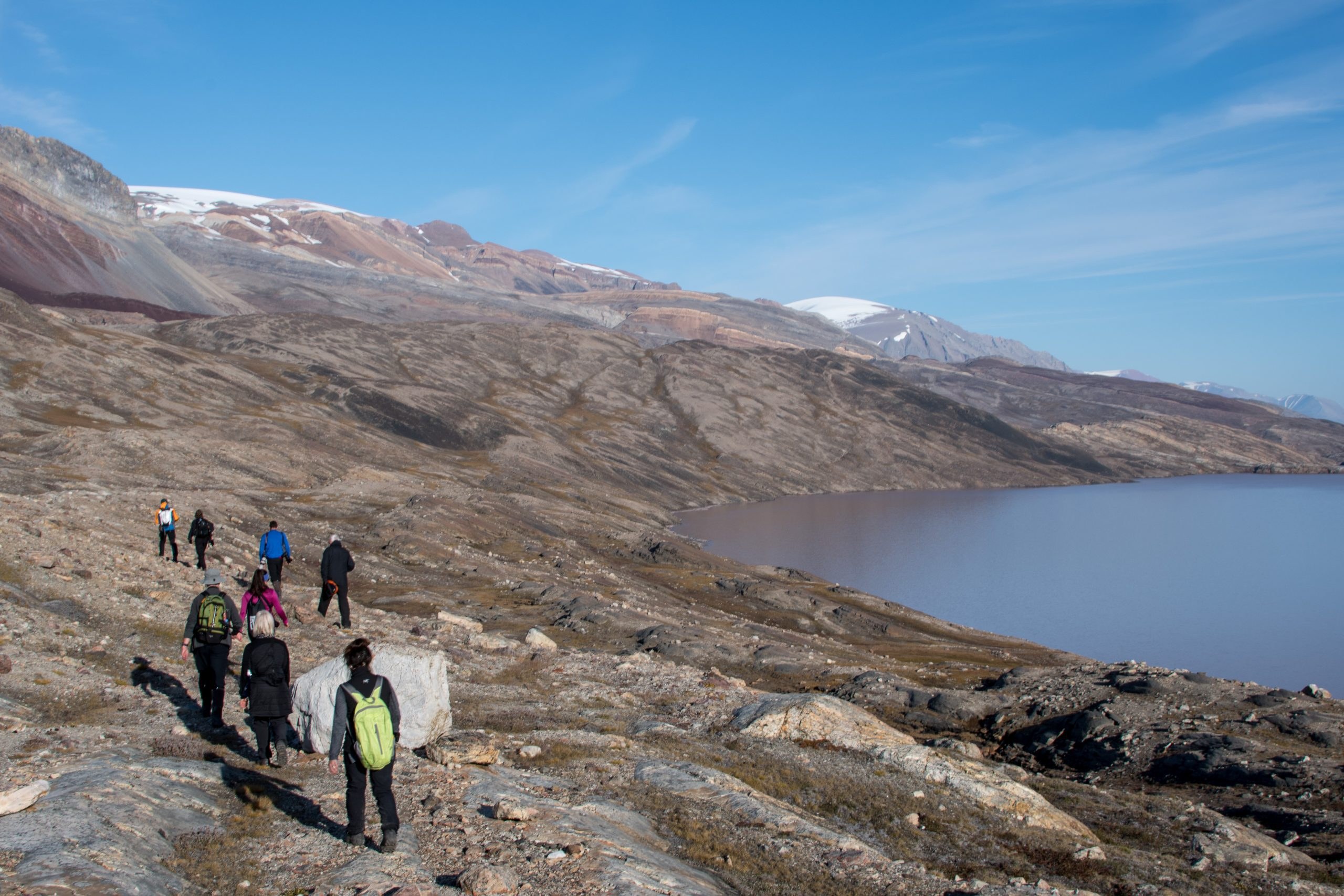 Arctic Tundra Hike & Wildlife Tracking with Expert Naturalists