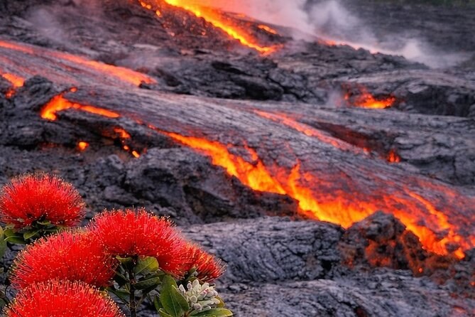 Private Big Island Volcanoes & Lava Fields Tour from Hilo