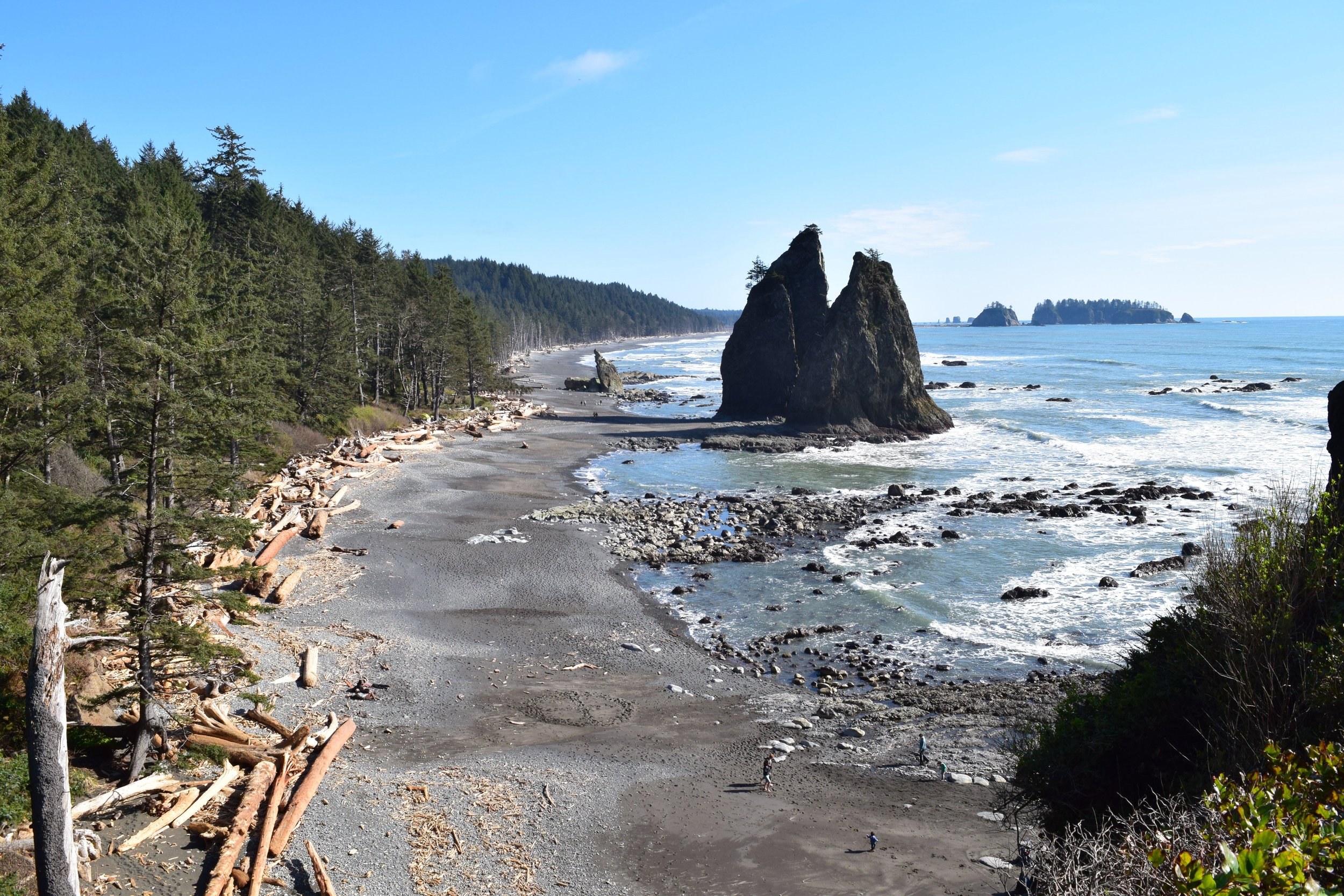Olympic National Park: Private Hoh Rainforest & Rialto Beach Day