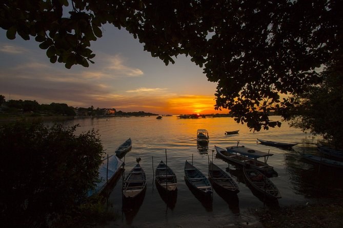 Alter do Chão Sunset Tour: Amazon Twilight by Boat