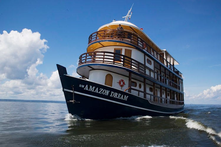 Amazon Regional Cruise: 4-Day Immersion from Santarém
