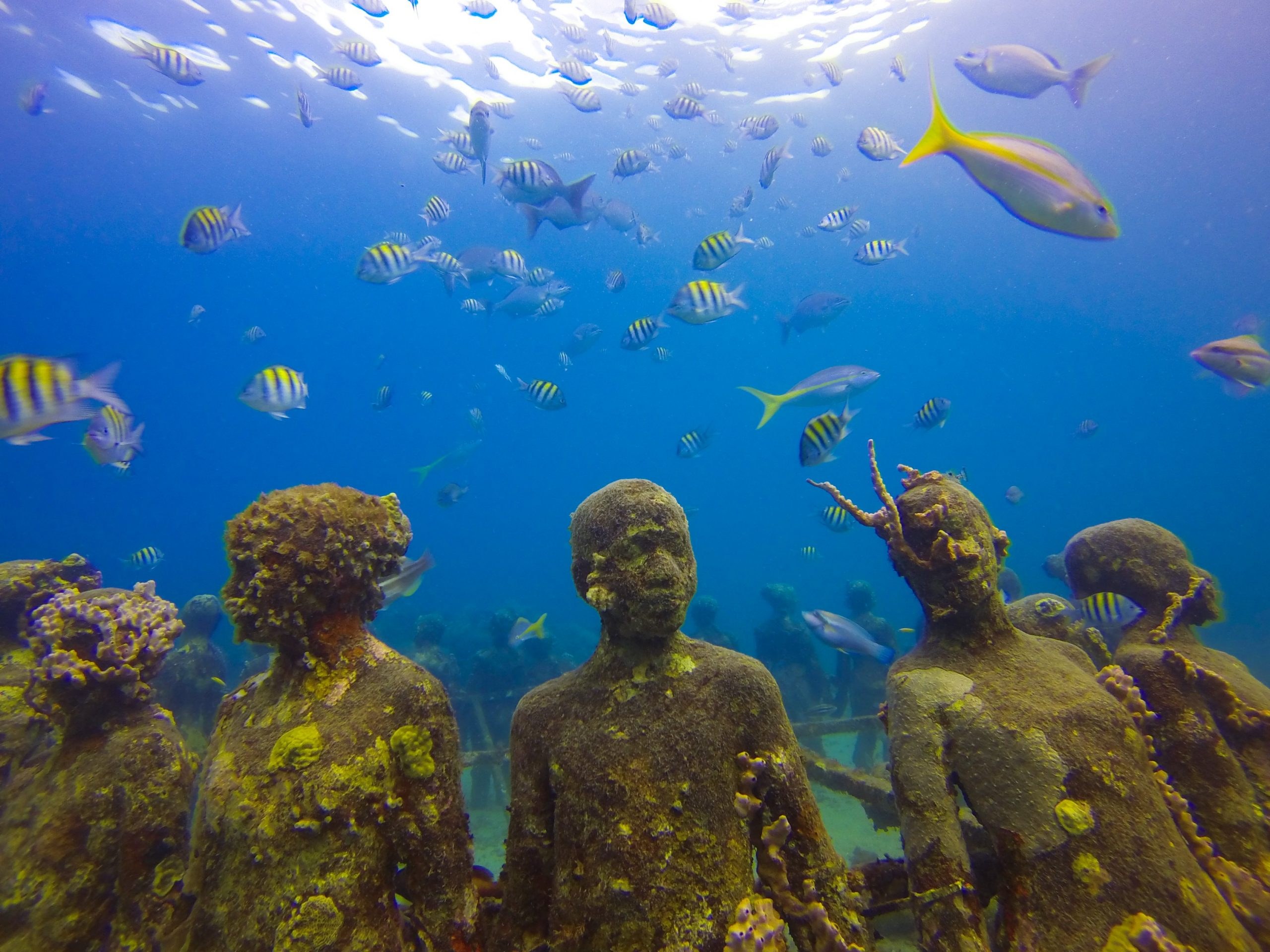 Grenada: Diving the Underwater Sculpture Park at Molinere Bay