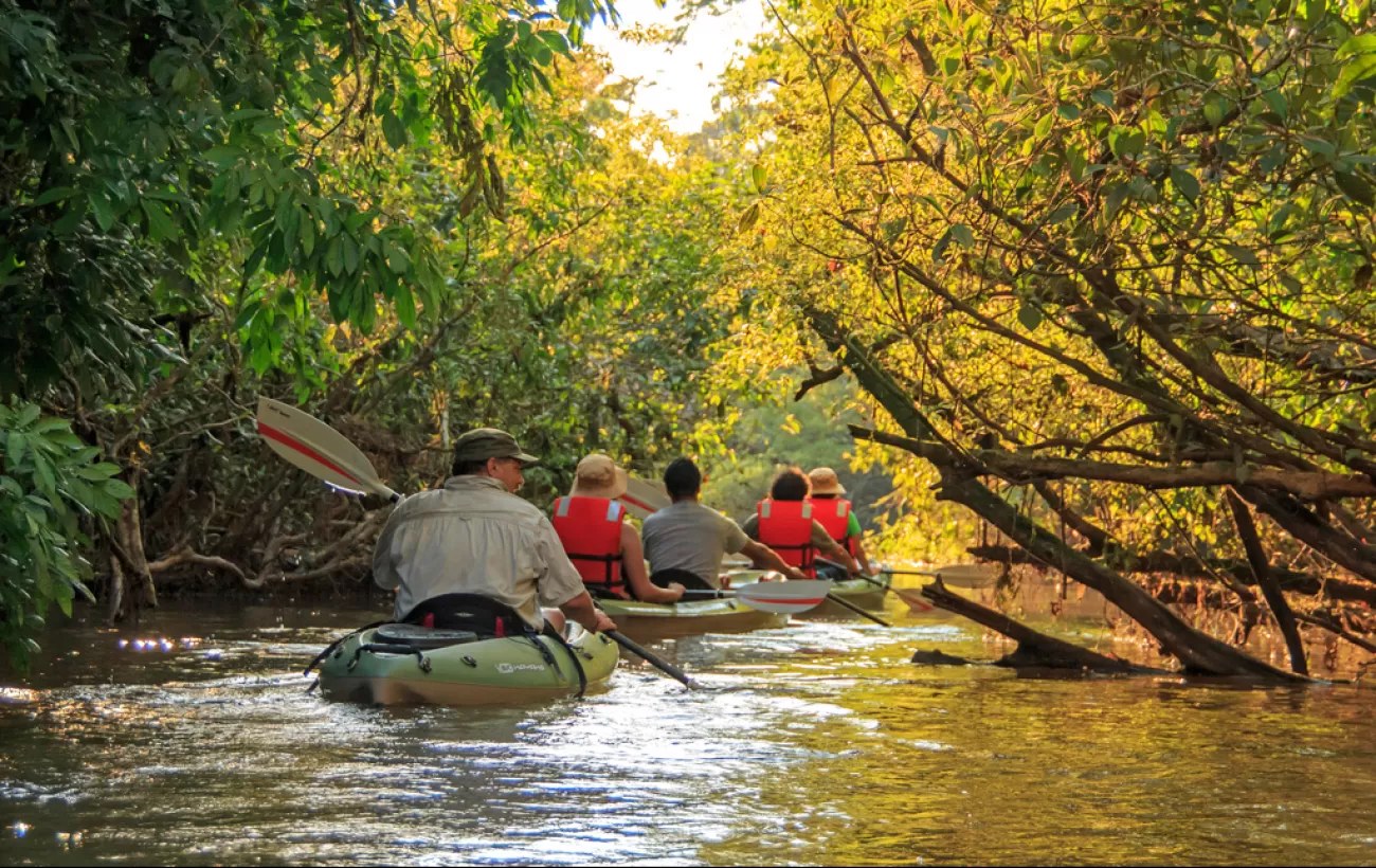 Private Skiff Safari: Flooded Forest Kayak & Wildlife Immersion
