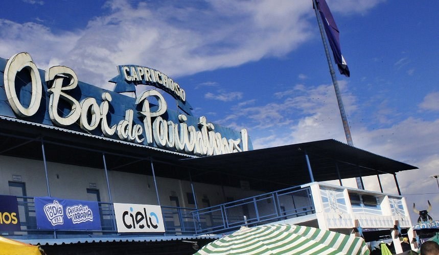 Curral do Boi Garantido & Caprichoso: Rival Tribe VIP Access
