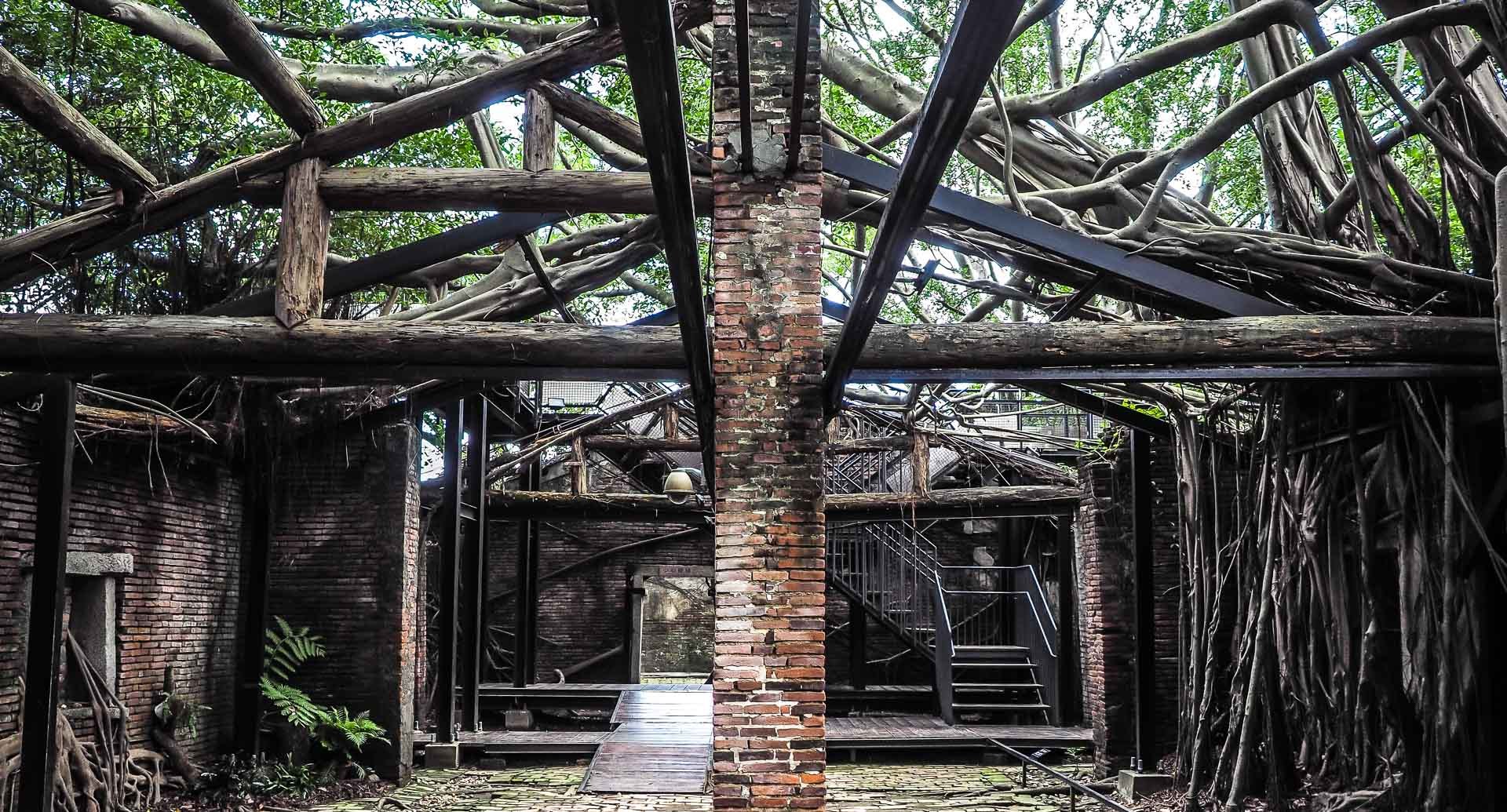 Anping Fort & Tree House: Tainan's Colonial Soul Unveiled