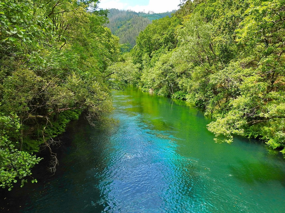 Fragas do Eume: Private Guided Walk in Galicia's Ancient Rainforest