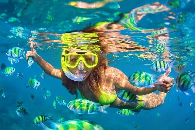 Isla Tortuga VIP: Small-Group Snorkel, Sail & Jungle Safari