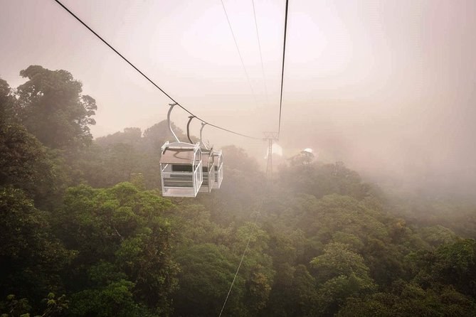Monteverde Cloud Forest Sky Tram, Hanging Bridges & Zip-Line