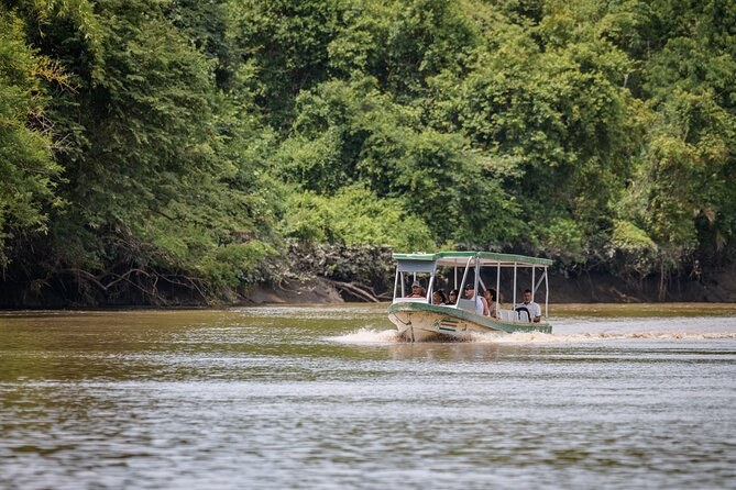 Palo Verde Boat Safari: Crocodiles, Monkeys & 300 Bird Species