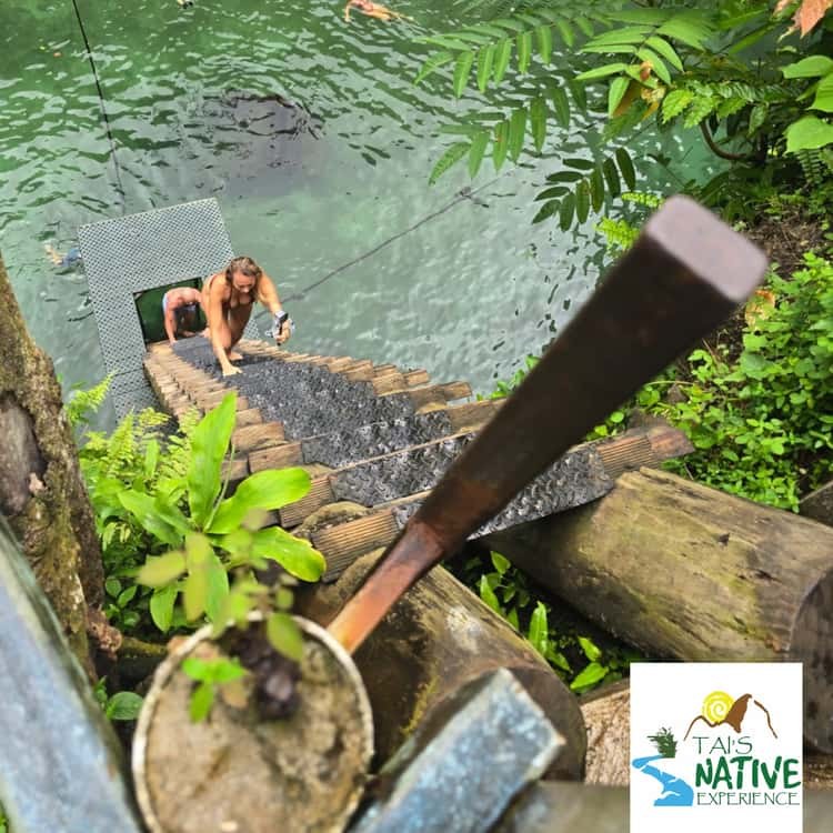 Namua Turtle Island: Private Snorkel & Pristine Beach Escape