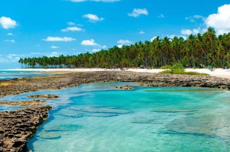 Carneiros Beach & Catamaran: Full-Day Natural Pool Paradise