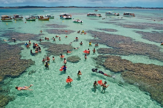Maragogi Reef Tour: Brazil's Caribbean, Full Day from Recife