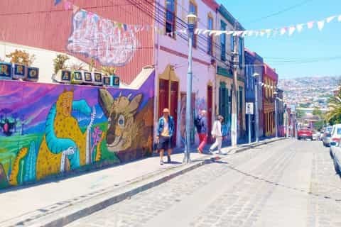 Private Custom Valparaíso: Street Art, Cerros & Funiculars