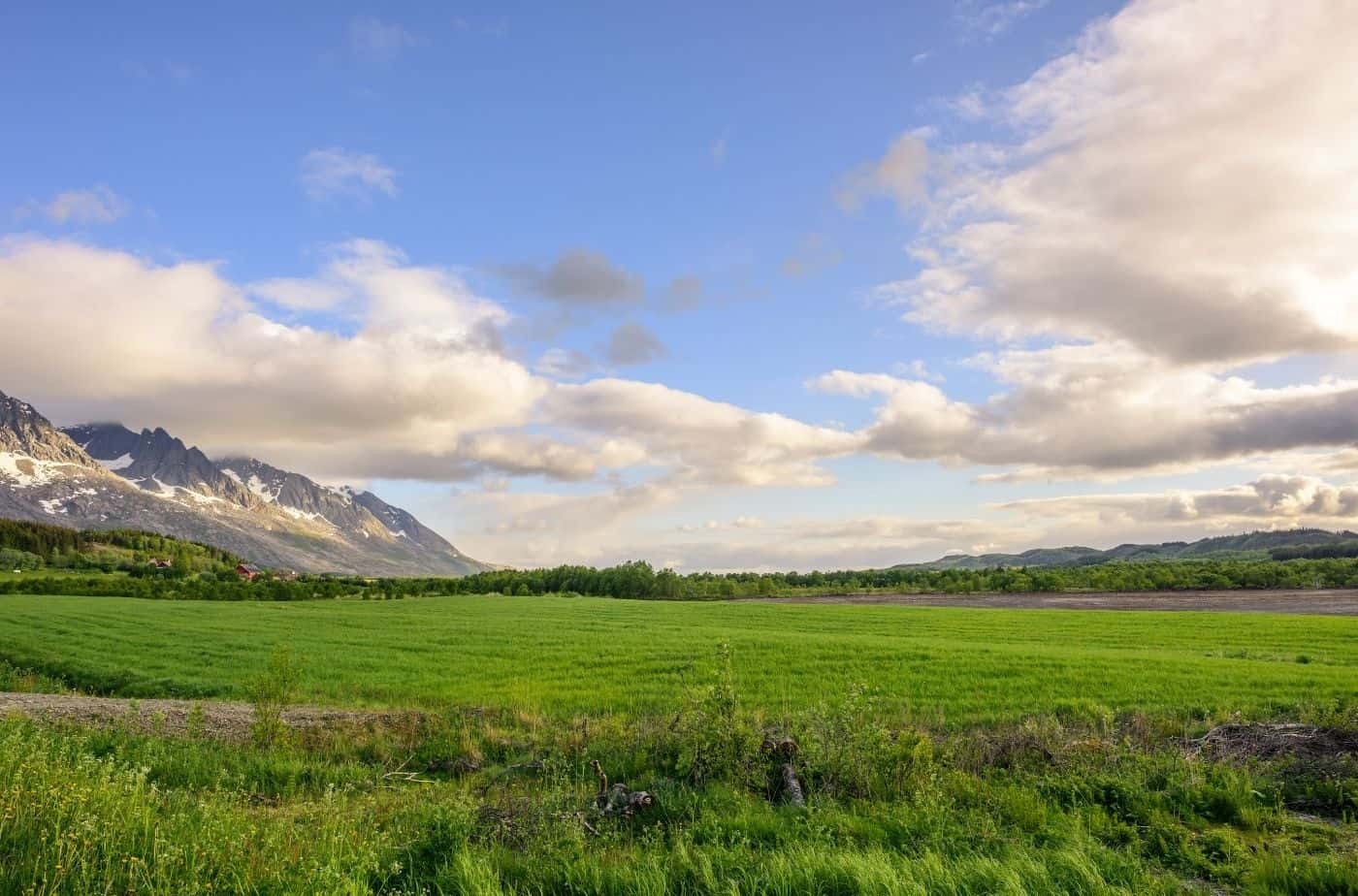 Sandnessjøen Self-Guided Viking Heritage Walk with Expert Audio