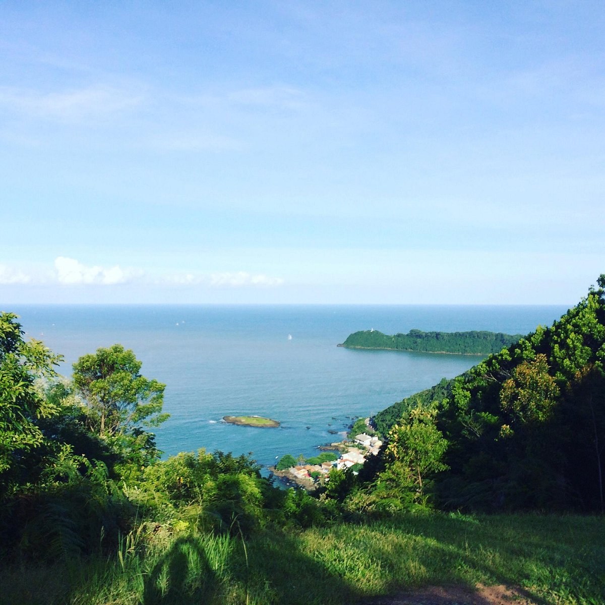 Parque Natural do Atalaia: Private Guided Rainforest & Viewpoint Hike