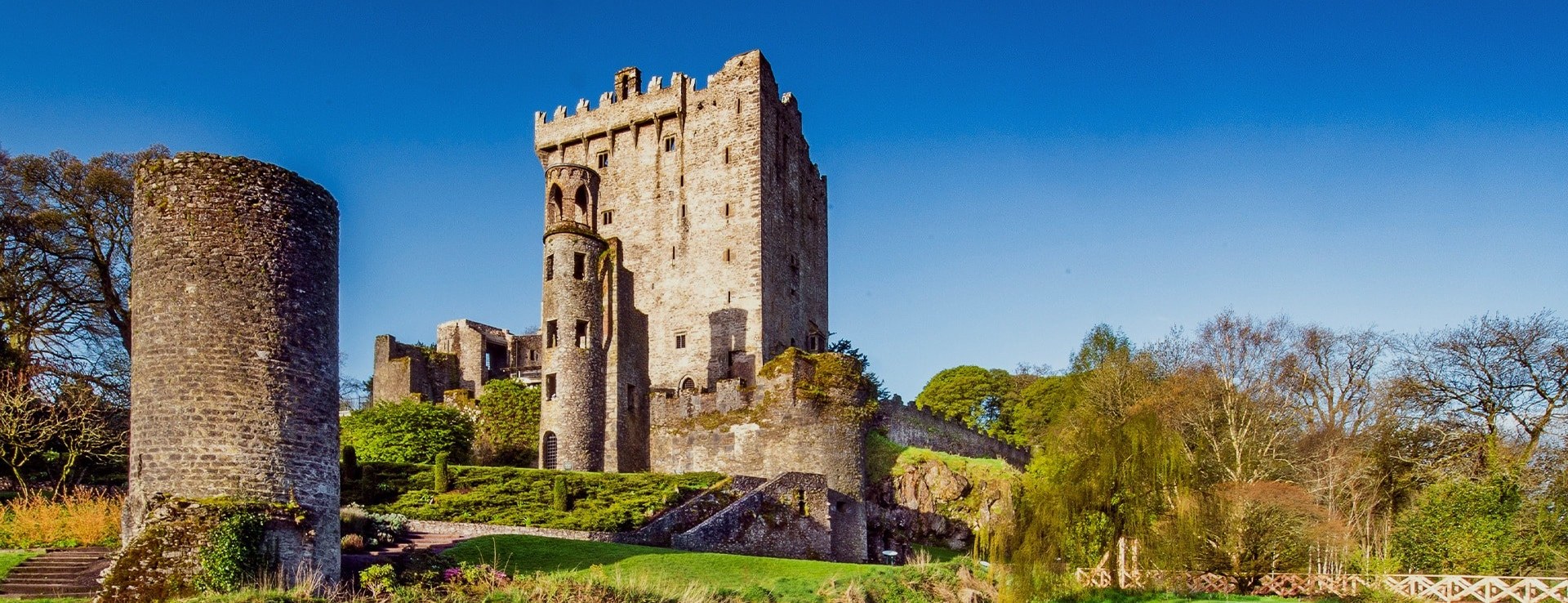 Blarney Castle & Cork English Market: Curated Private Half-Day