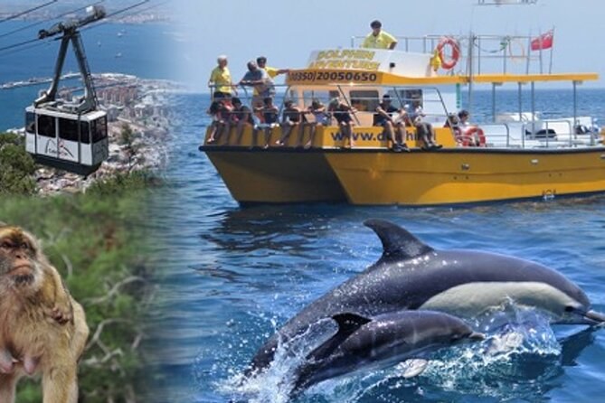 Strait of Gibraltar Dolphin Safari: Small-Group Boat Expedition