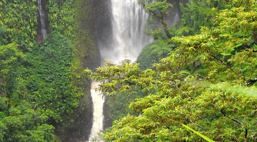 Apia Highlands, Papapapaitai Falls & Faleolo Cultural Village Half-Day