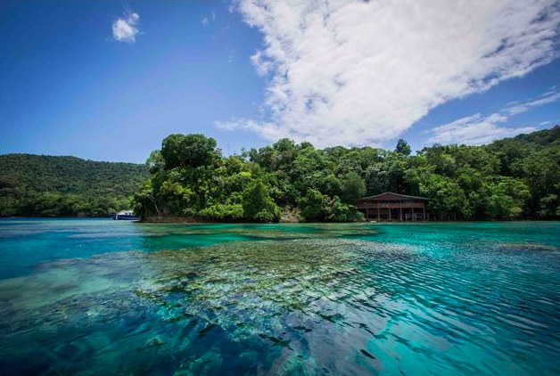 Milne Bay Full-Day Cultural & Local Life Discovery Tour