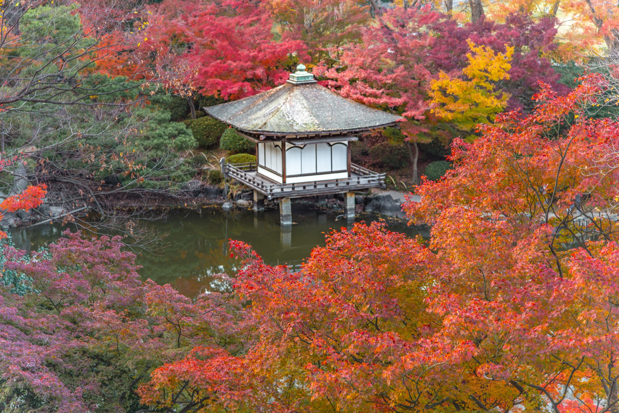 Wakayama Castle & Nishi-no-Maru Garden: Private Cultural Half-Day