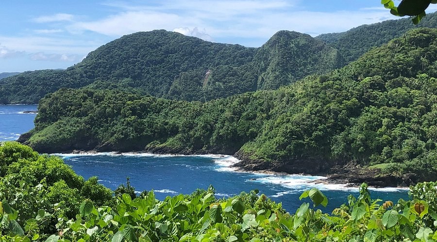 National Park of American Samoa: Private Guided Rainforest & Reef Walk