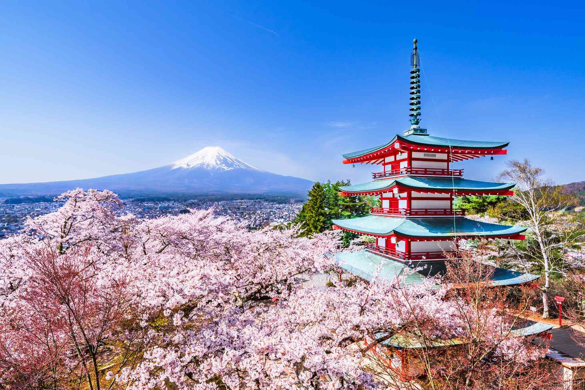 Private Full-Day Tokyo Highlights from Yokohama