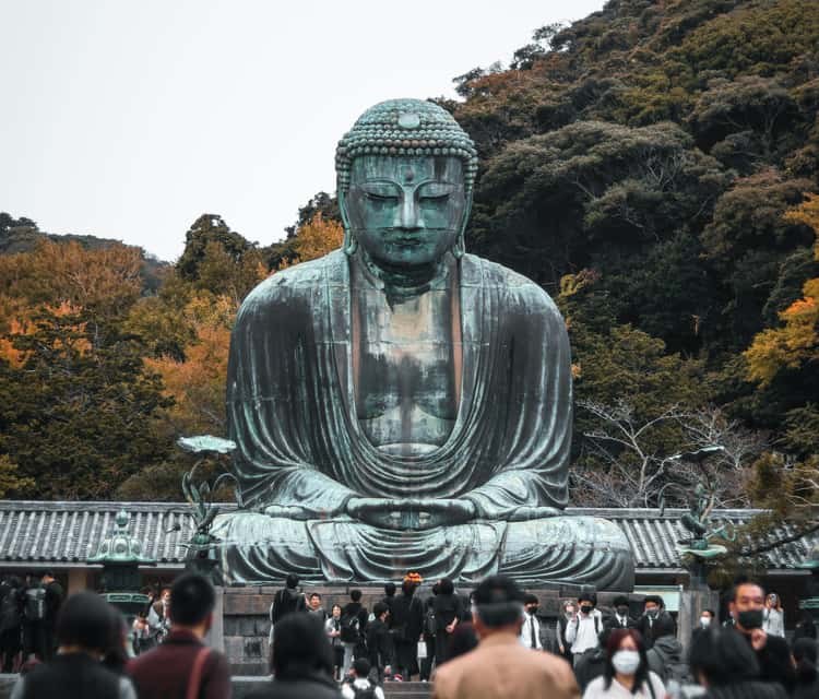 Kamakura Great Buddha & Zen Temple Private Tour