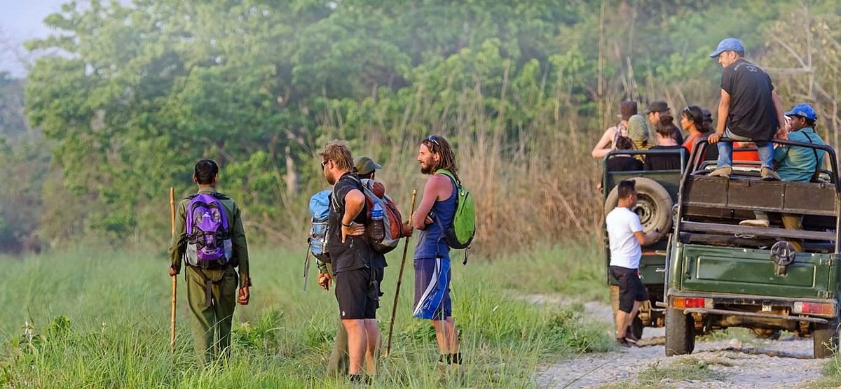 Wildlife & Nature Expedition: Private Guided Eco-Safari