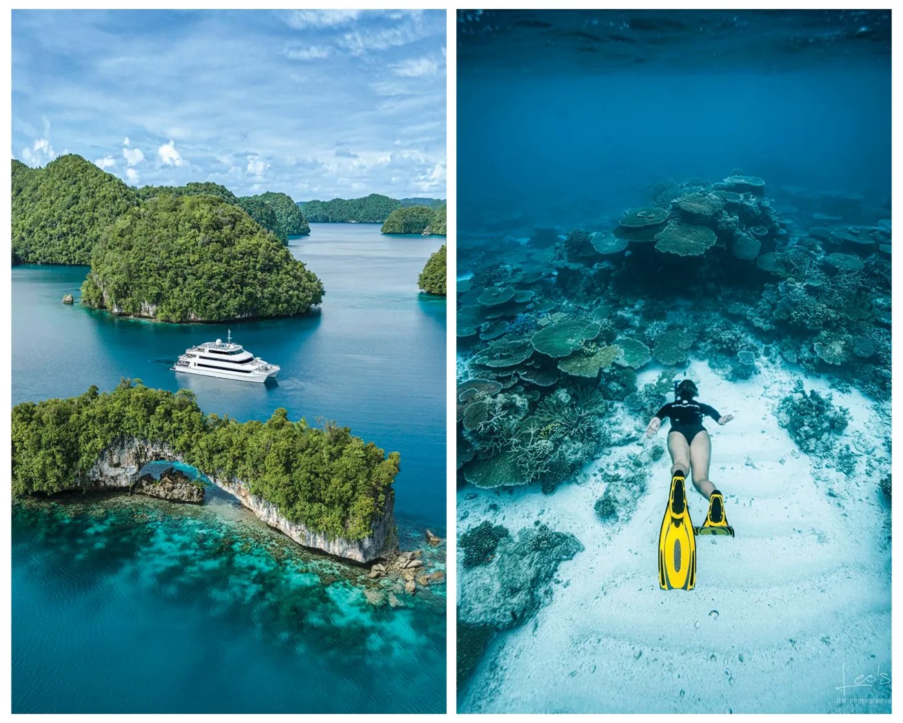 Luxury Liveaboard Snorkel & Dive Day: Astrolabe Reef Depths