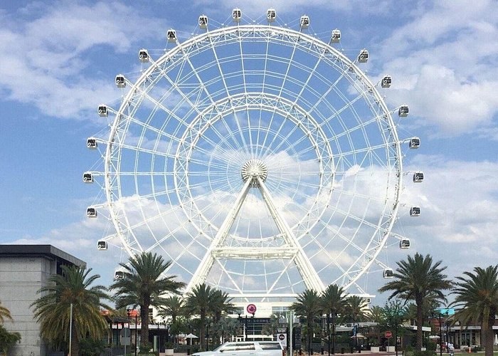Landmark Icon: Private After-Hours Access & Expert-Led Tour