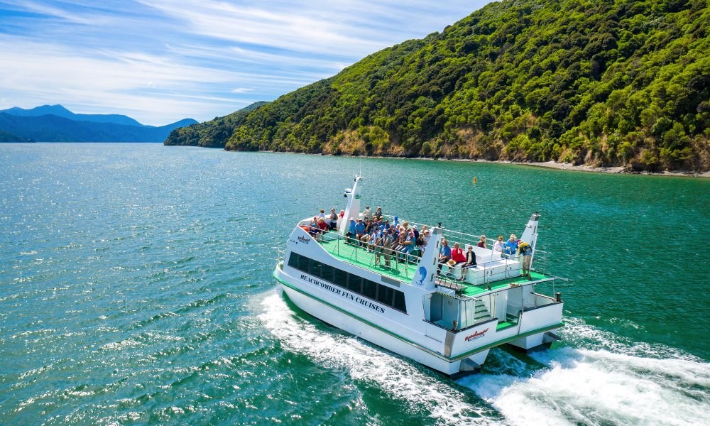 Motuara Island Wildlife Sanctuary & Dolphin Cruise