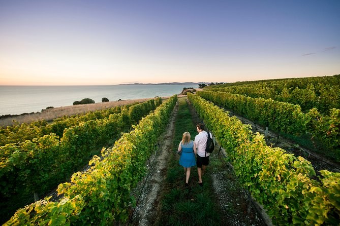 Marlborough Half-Day Luxury Wine Tour from Picton