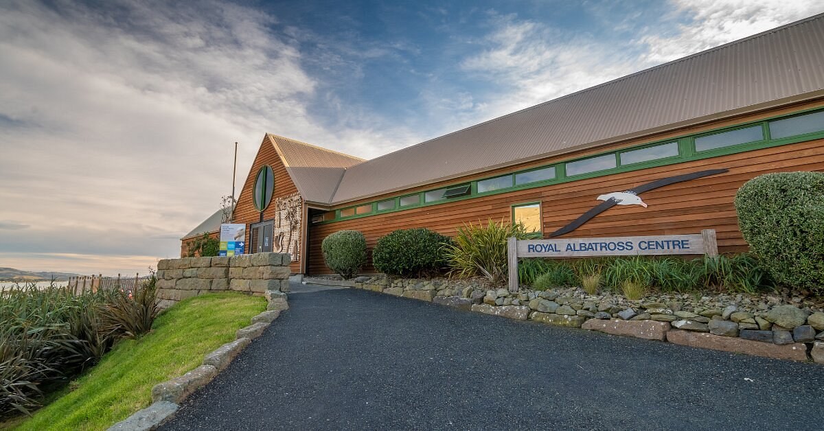 Royal Albatross Centre: Expert-Guided Wildlife Summit