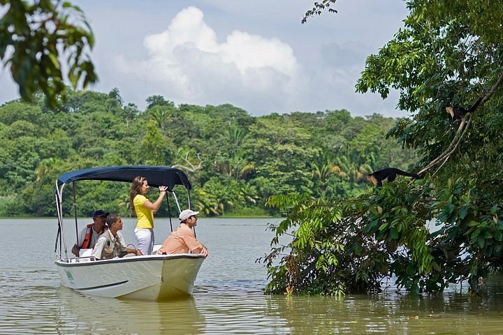 Gatun Locks: Caribbean-Side Close-Up & Gatun Lake Boat Tour